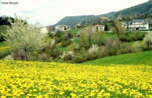 Castiglione (Sante Borghi)