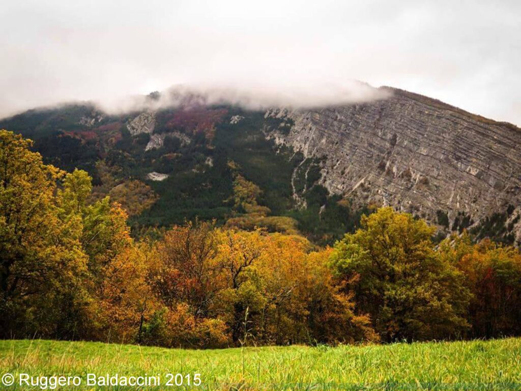 Monte Torricella