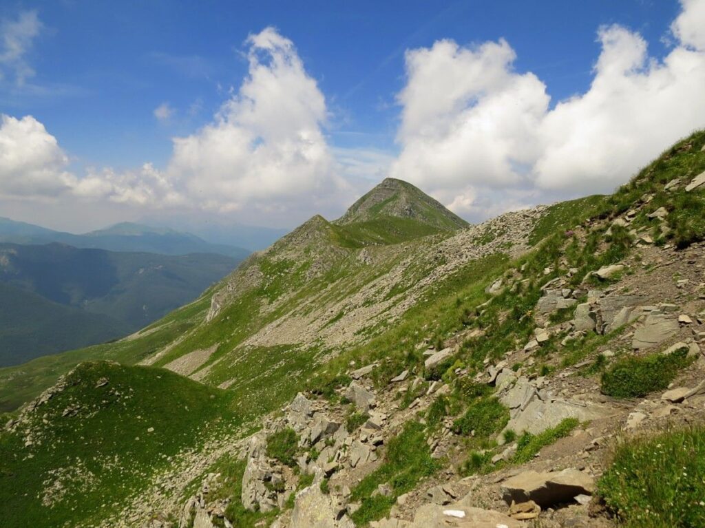 Il Cusna visto dal Sasso Morto