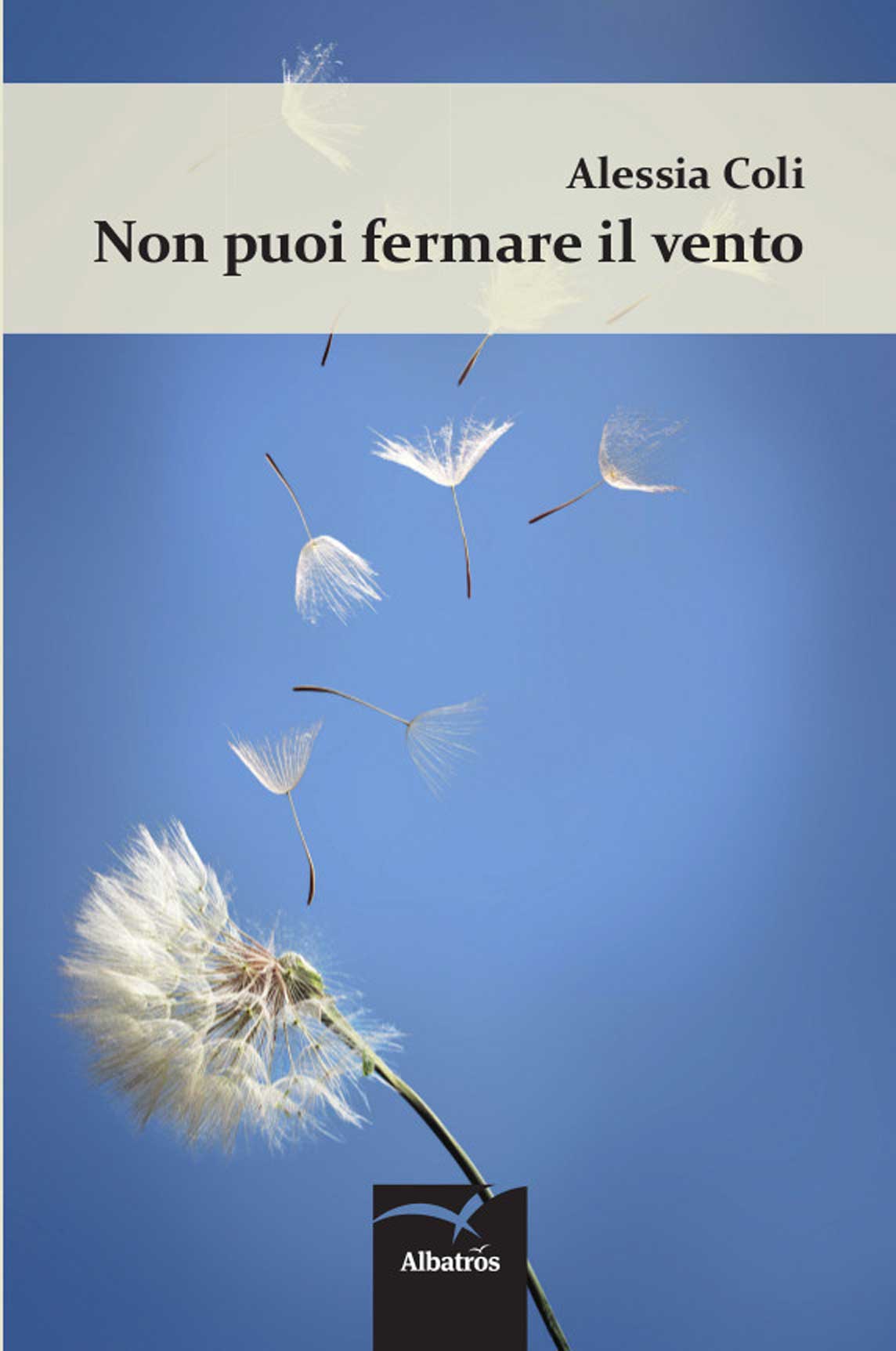 Non puoi fermare il vento