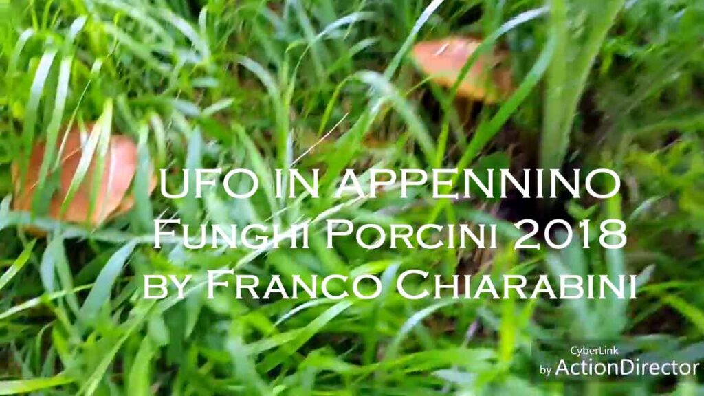 ufo in appennino (funghi porcini 2018)