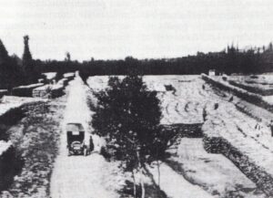 Legna accatastata nel bacino di San Michele dei Mucchietti – Archivio Fioroni