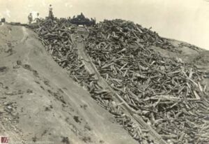 Scivolo per i tronchi a Le Grotte di Gova – Archivio Biblioteca Panizzi