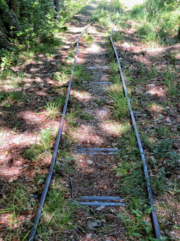 Binario della ferrovia a cremagliera - Foto Rosa Palumbo - 2018