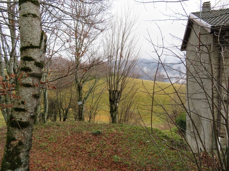 L'area dove sorgeva la casa dello stregone.