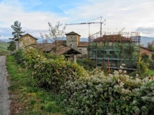 Borgo di Saccheggiana-2018