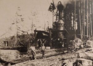 1919 – La lavorazione del legno nei pressi di Febbio