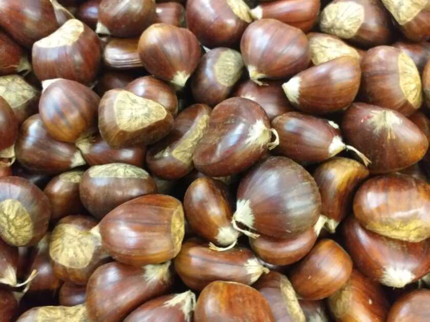 Castagne mature