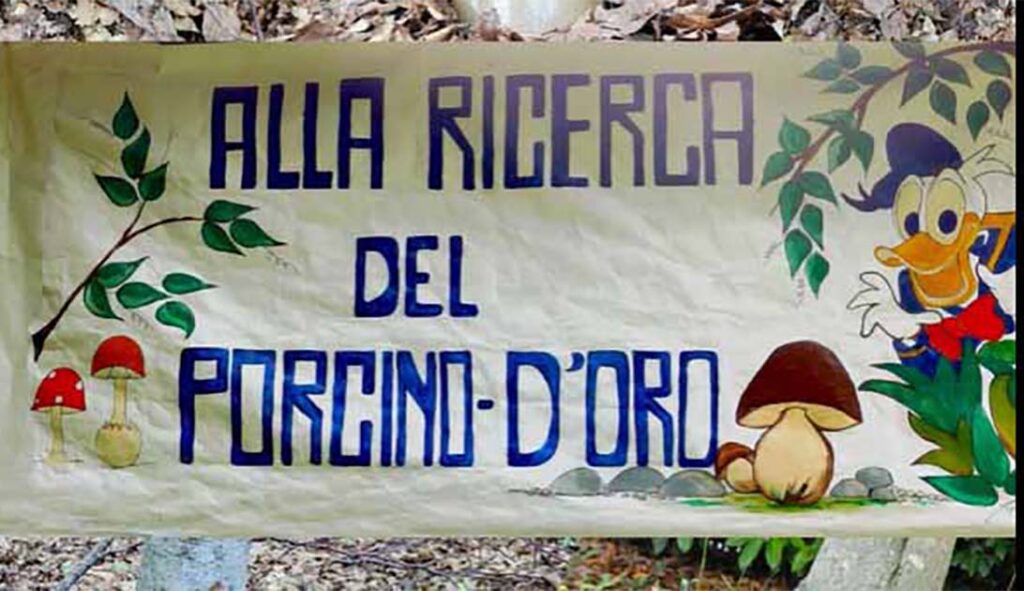 Trofeo della Val d'Asta 2025